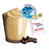 Foto articolo dell\'articolo Crema Caffè Special Base Acqua Gr.500