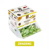 Foto articolo dell\'articolo Dispenser Terranova Zenzero Kg.1 Pz.250