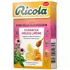 Foto articolo dell\'articolo Ricola Miele e Limone Echinacea Gr.50 Pz.20