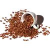 Caffe